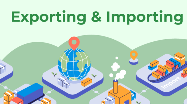 What is Import Export Business