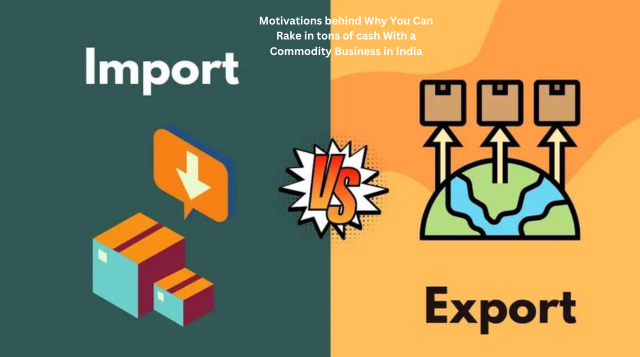 What is Import Export Business
