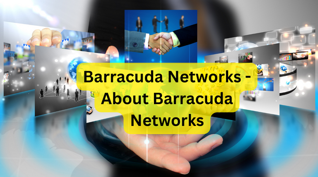 Barracuda Networks - About Barracuda Networks