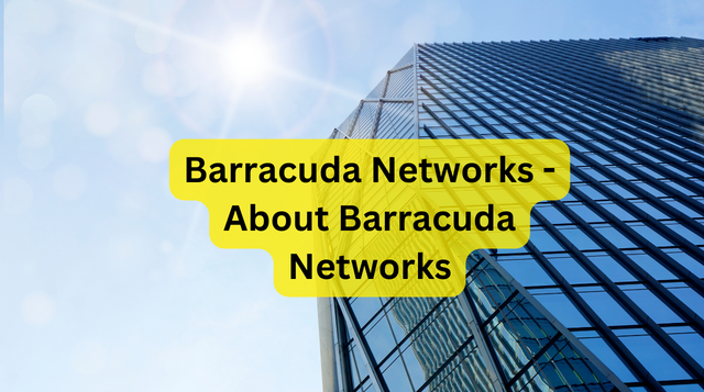 Barracuda Networks - About Barracuda Networks
