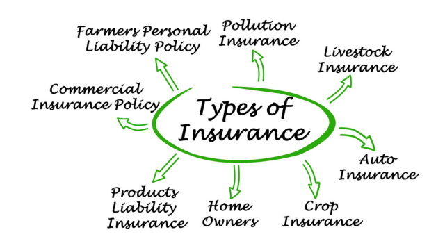 Types Of Small Business Insurance