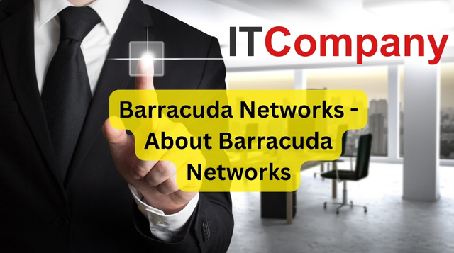 Barracuda Networks - About Barracuda Networks